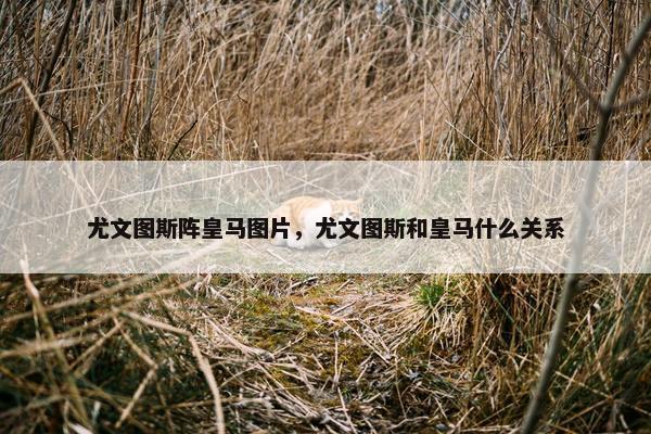 尤文图斯阵皇马图片，尤文图斯和皇马什么关系