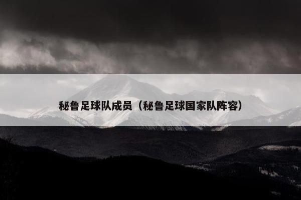 秘鲁足球队成员（秘鲁足球国家队阵容）