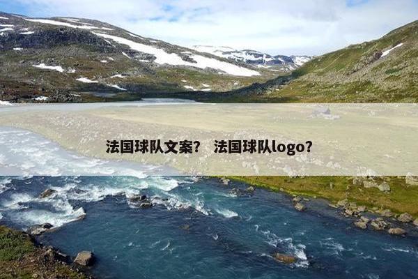 法国球队文案？ 法国球队logo？