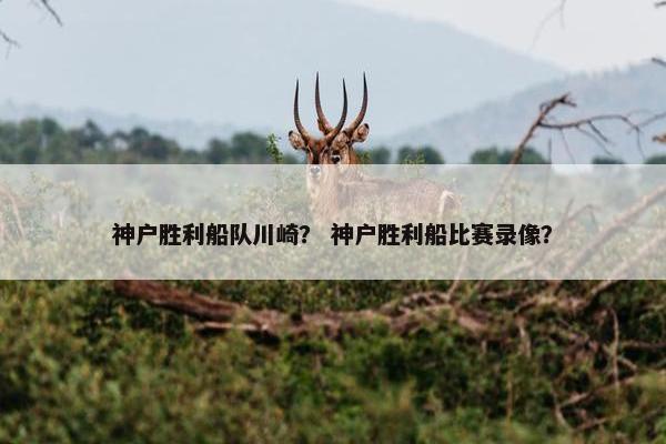 神户胜利船队川崎？ 神户胜利船比赛录像？