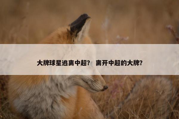 大牌球星逃离中超？ 离开中超的大牌？