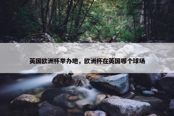 英国欧洲杯举办地，欧洲杯在英国哪个球场