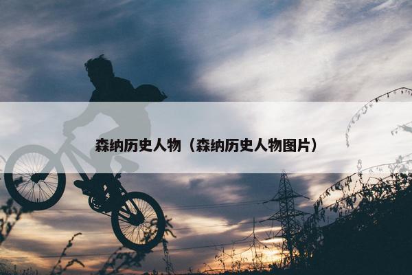 森纳历史人物（森纳历史人物图片）