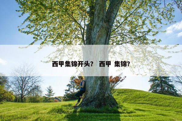 西甲集锦开头？ 西甲 集锦？