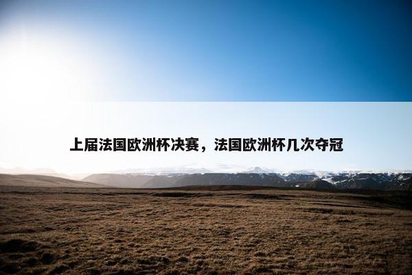 上届法国欧洲杯决赛，法国欧洲杯几次夺冠