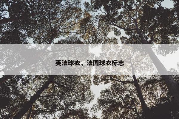 英法球衣，法国球衣标志