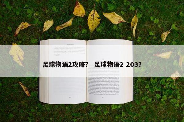 足球物语2攻略？ 足球物语2 203？