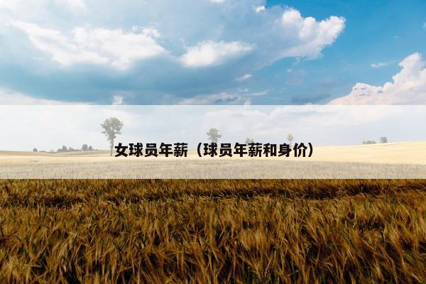 女球员年薪（球员年薪和身价）