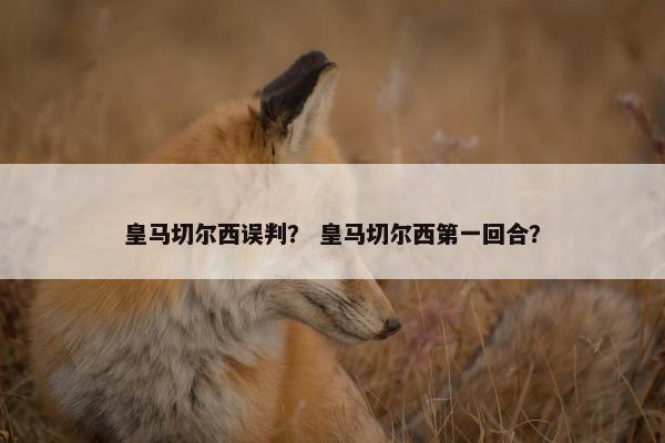 皇马切尔西误判？ 皇马切尔西第一回合？