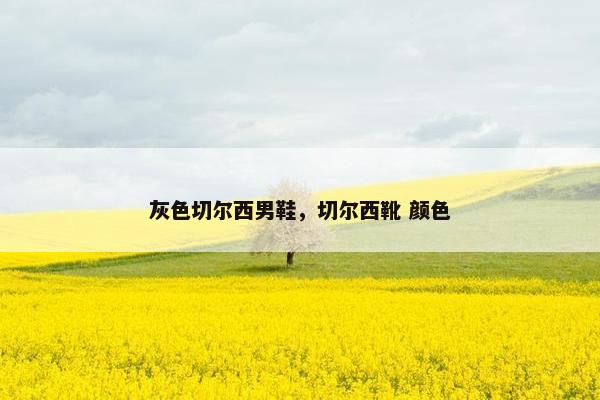 灰色切尔西男鞋，切尔西靴 颜色