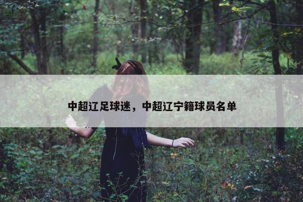 中超辽足球迷，中超辽宁籍球员名单