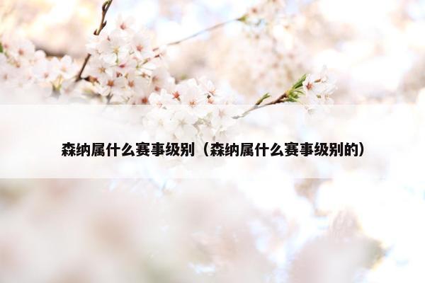 森纳属什么赛事级别（森纳属什么赛事级别的）