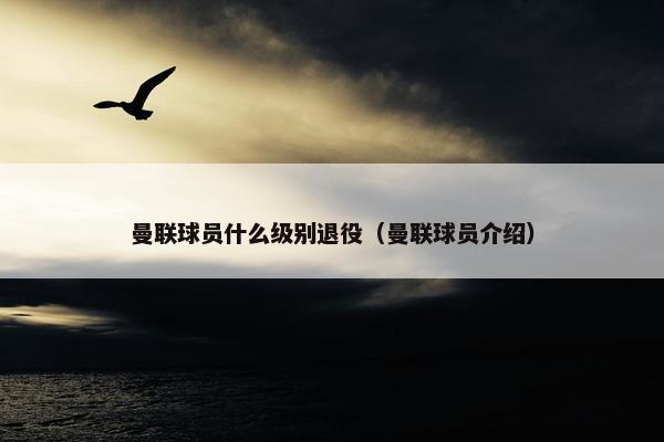 曼联球员什么级别退役（曼联球员介绍）