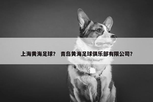 上海黄海足球？ 青岛黄海足球俱乐部有限公司？