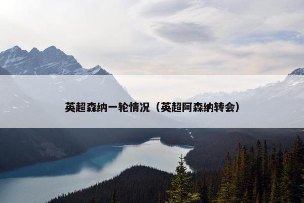 英超森纳一轮情况（英超阿森纳转会）