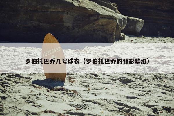 罗伯托巴乔几号球衣（罗伯托巴乔的背影壁纸）