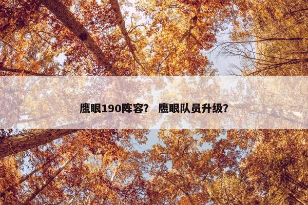 鹰眼190阵容？ 鹰眼队员升级？