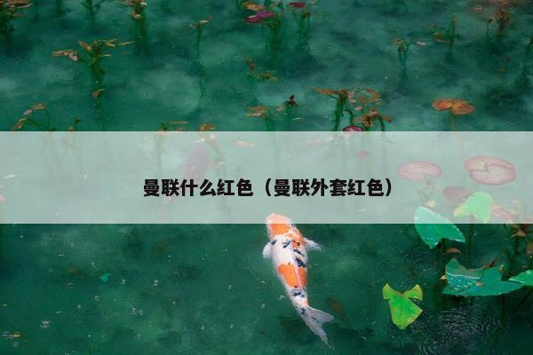 曼联什么红色（曼联外套红色）