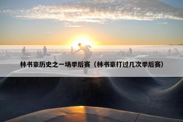 林书豪历史之一场季后赛（林书豪打过几次季后赛）