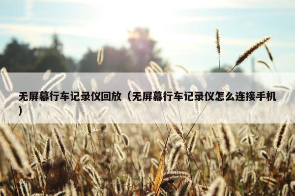 无屏幕行车记录仪回放（无屏幕行车记录仪怎么连接手机）