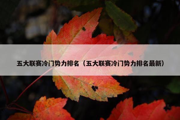 五大联赛冷门势力排名（五大联赛冷门势力排名最新）