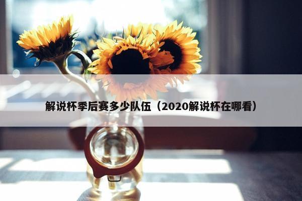 解说杯季后赛多少队伍（2020解说杯在哪看）