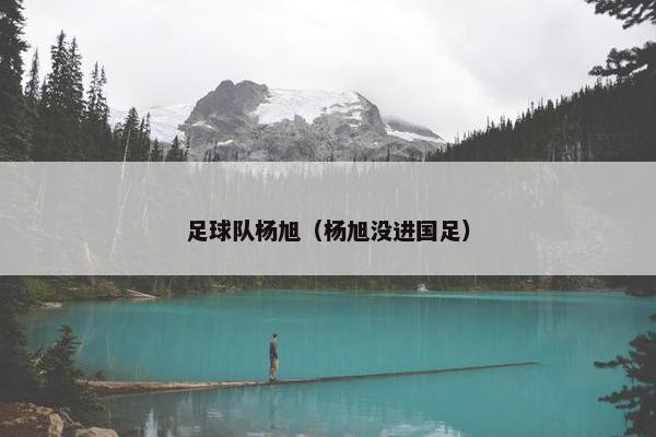 足球队杨旭（杨旭没进国足）
