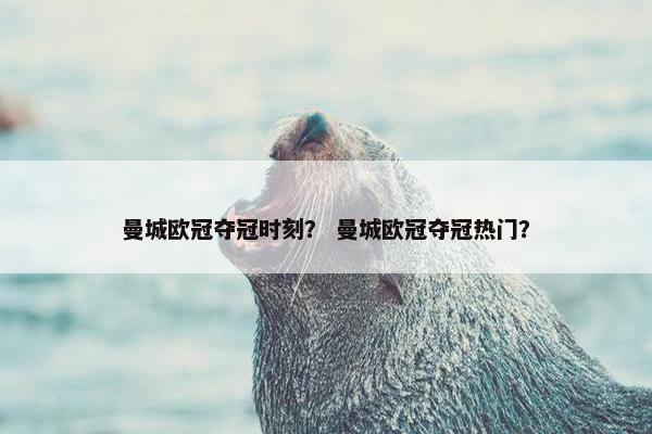 曼城欧冠夺冠时刻？ 曼城欧冠夺冠热门？