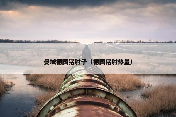曼城德国猪肘子（德国猪肘热量）