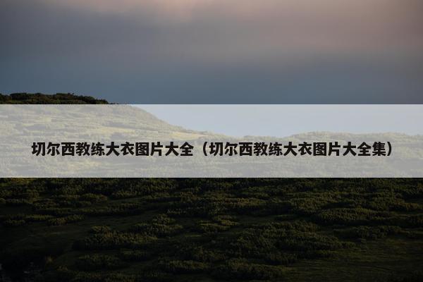 切尔西教练大衣图片大全（切尔西教练大衣图片大全集）