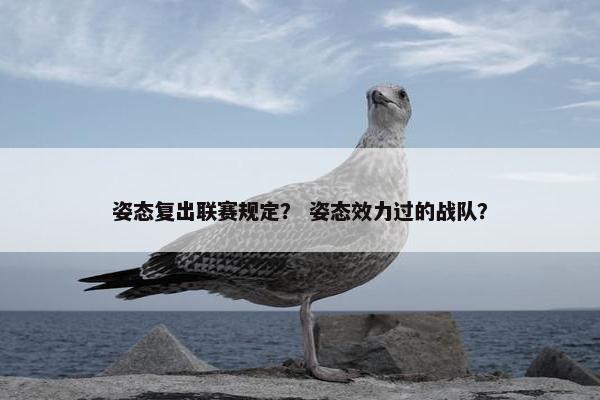 姿态复出联赛规定？ 姿态效力过的战队？