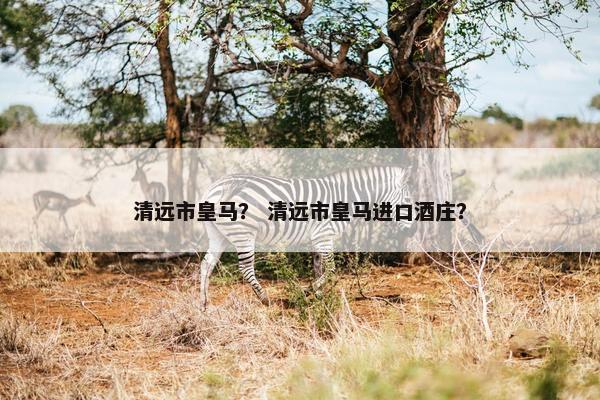 清远市皇马？ 清远市皇马进口酒庄？