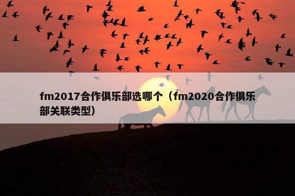 fm2017合作俱乐部选哪个（fm2020合作俱乐部关联类型）