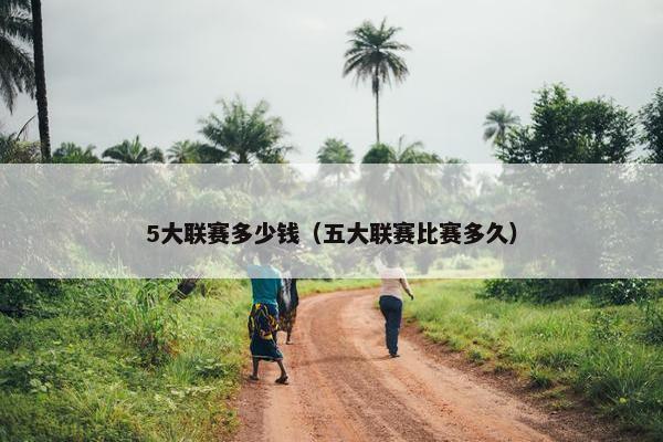 5大联赛多少钱（五大联赛比赛多久）