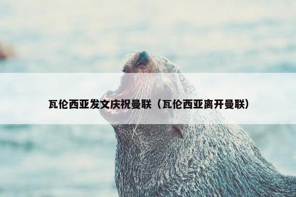 瓦伦西亚发文庆祝曼联（瓦伦西亚离开曼联）