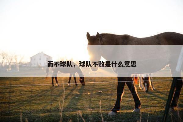 而不球队，球队不败是什么意思