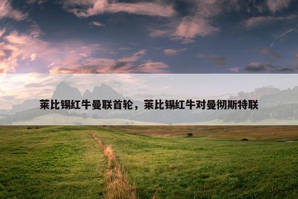 莱比锡红牛曼联首轮，莱比锡红牛对曼彻斯特联