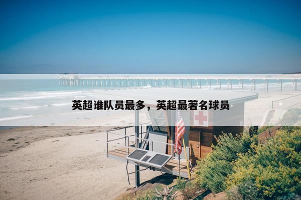 英超谁队员最多，英超最著名球员