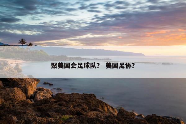 聚美国会足球队？ 美国足协？