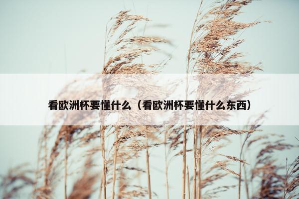 看欧洲杯要懂什么（看欧洲杯要懂什么东西）