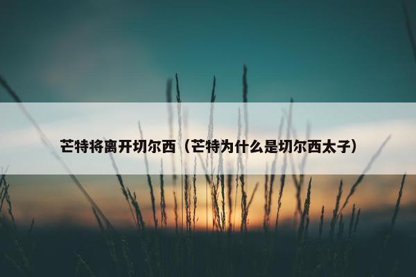芒特将离开切尔西（芒特为什么是切尔西太子）