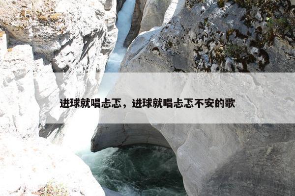 进球就唱忐忑，进球就唱忐忑不安的歌