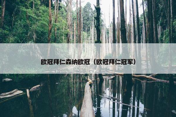 欧冠拜仁森纳欧冠（欧冠拜仁冠军）