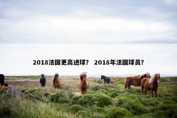 2018法国更高进球？ 2018年法国球员？