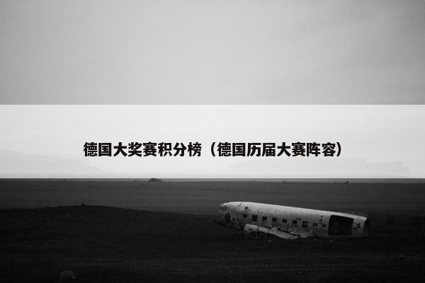 德国大奖赛积分榜（德国历届大赛阵容）
