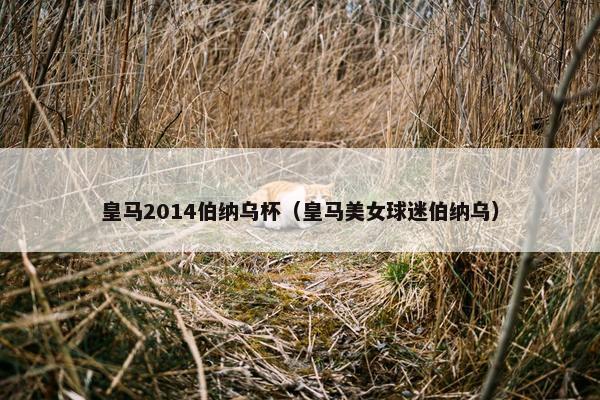 皇马2014伯纳乌杯（皇马美女球迷伯纳乌）