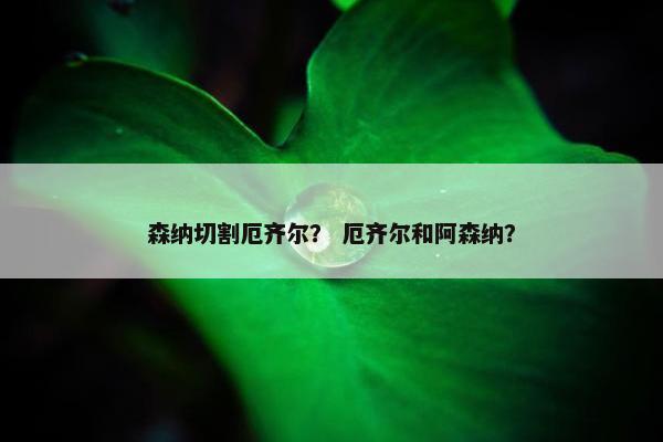 森纳切割厄齐尔？ 厄齐尔和阿森纳？