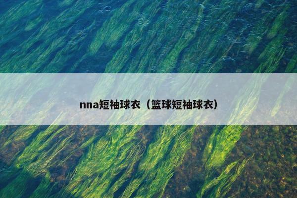 nna短袖球衣（篮球短袖球衣）