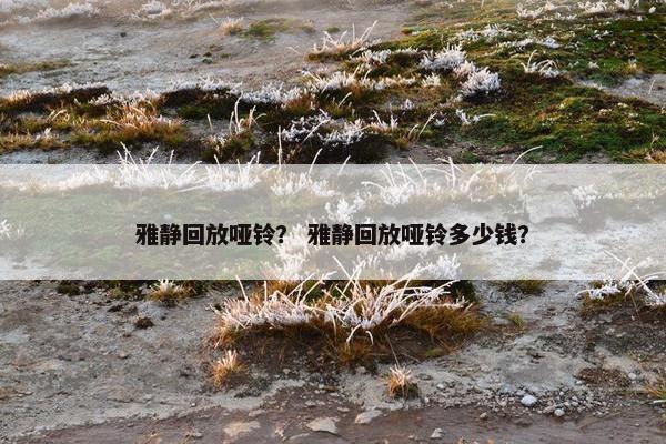 雅静回放哑铃？ 雅静回放哑铃多少钱？