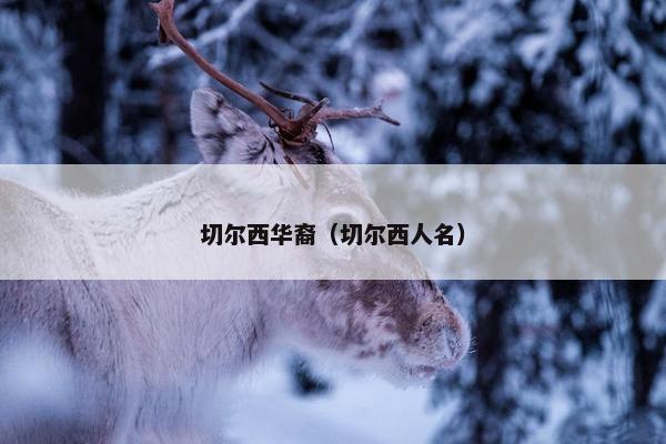 切尔西华裔（切尔西人名）
